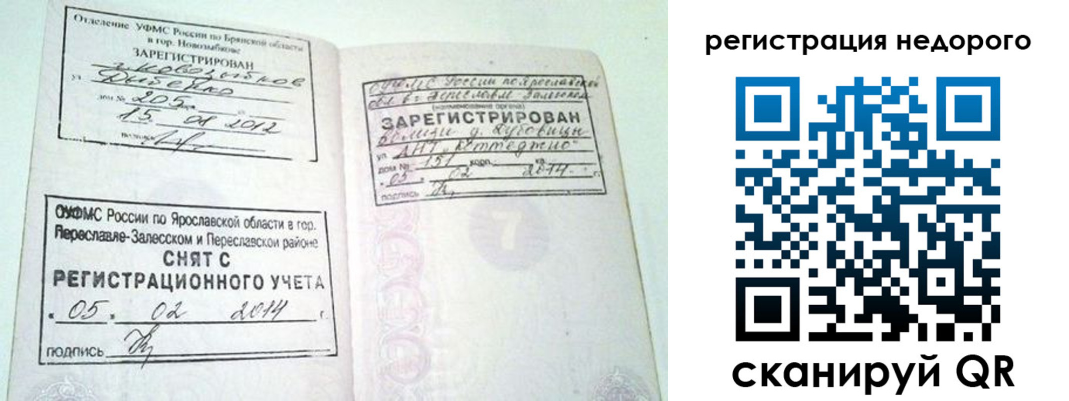 прописка поиск в Пересвете